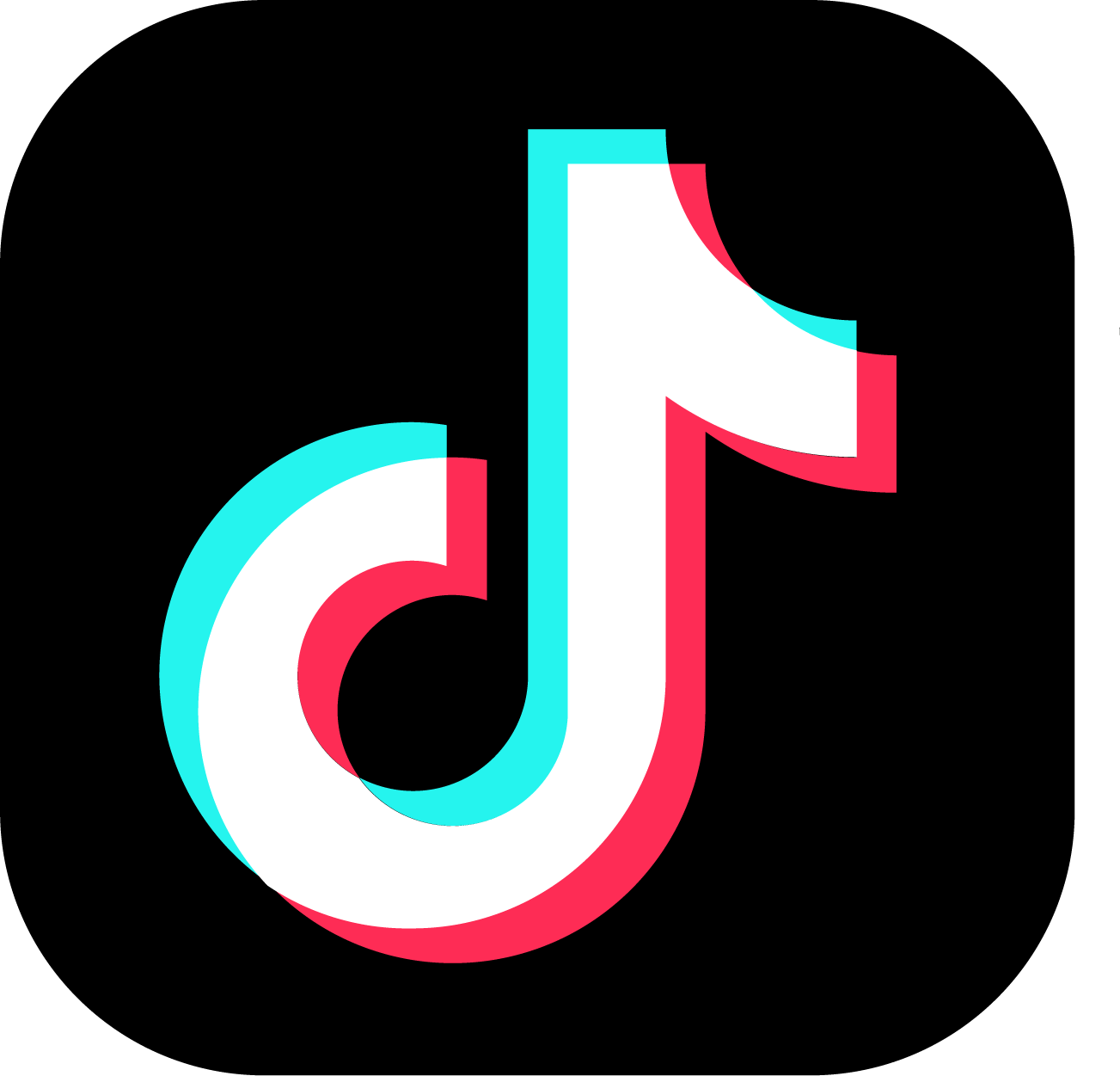 Logo Tiktok Png Download For Free High Quality In 2021 Images And
